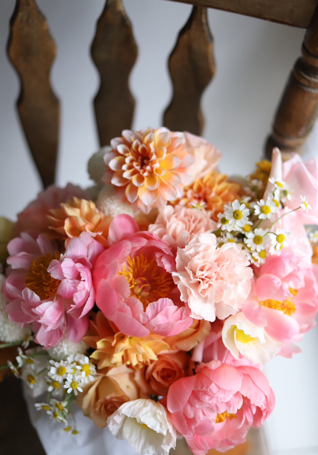 Blooms of Seasons: A Floral Symphony in Sydney, Australia"