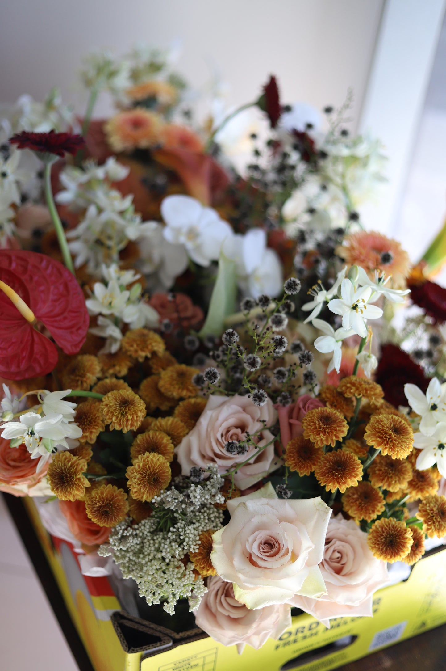 Petals from CHÂTEA MONA