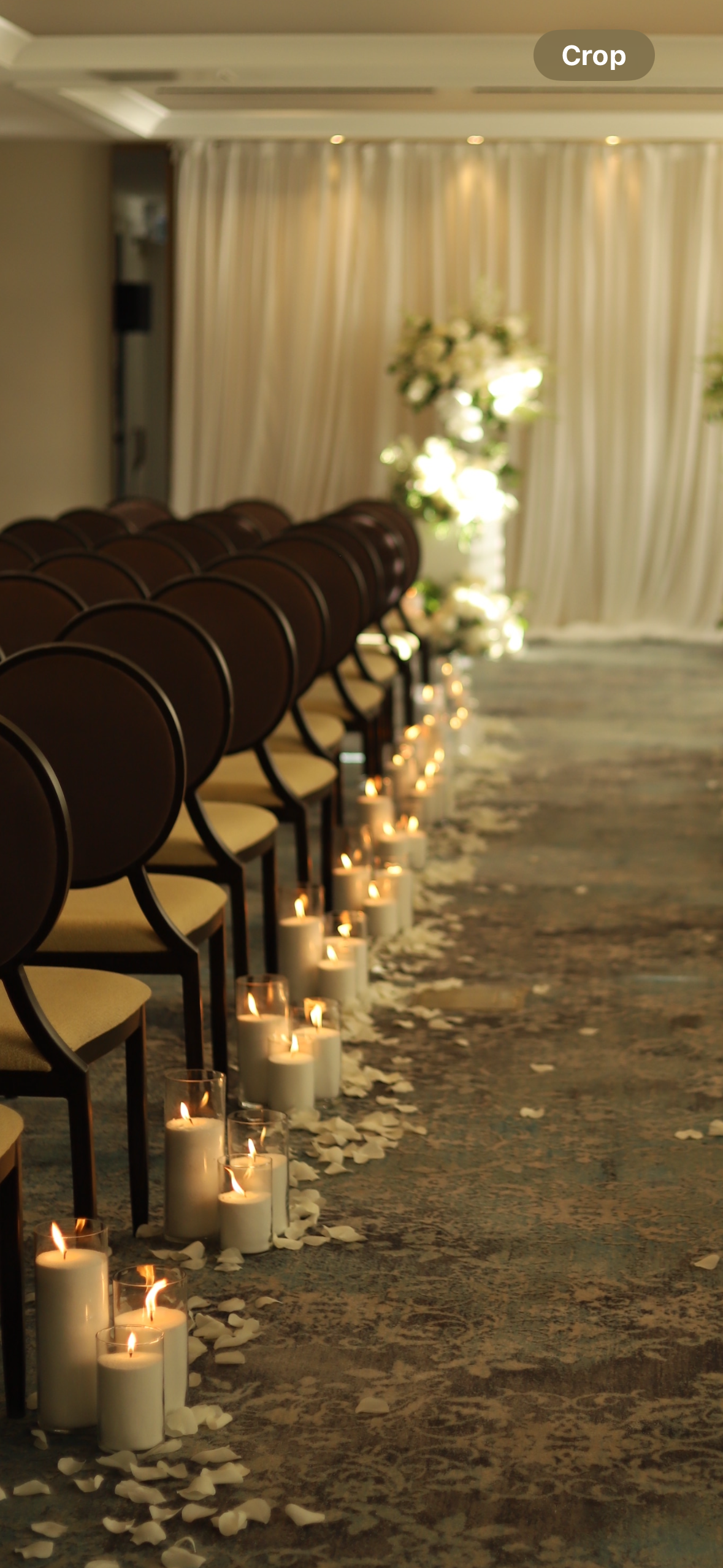 Palm wax in Glass Cylinder