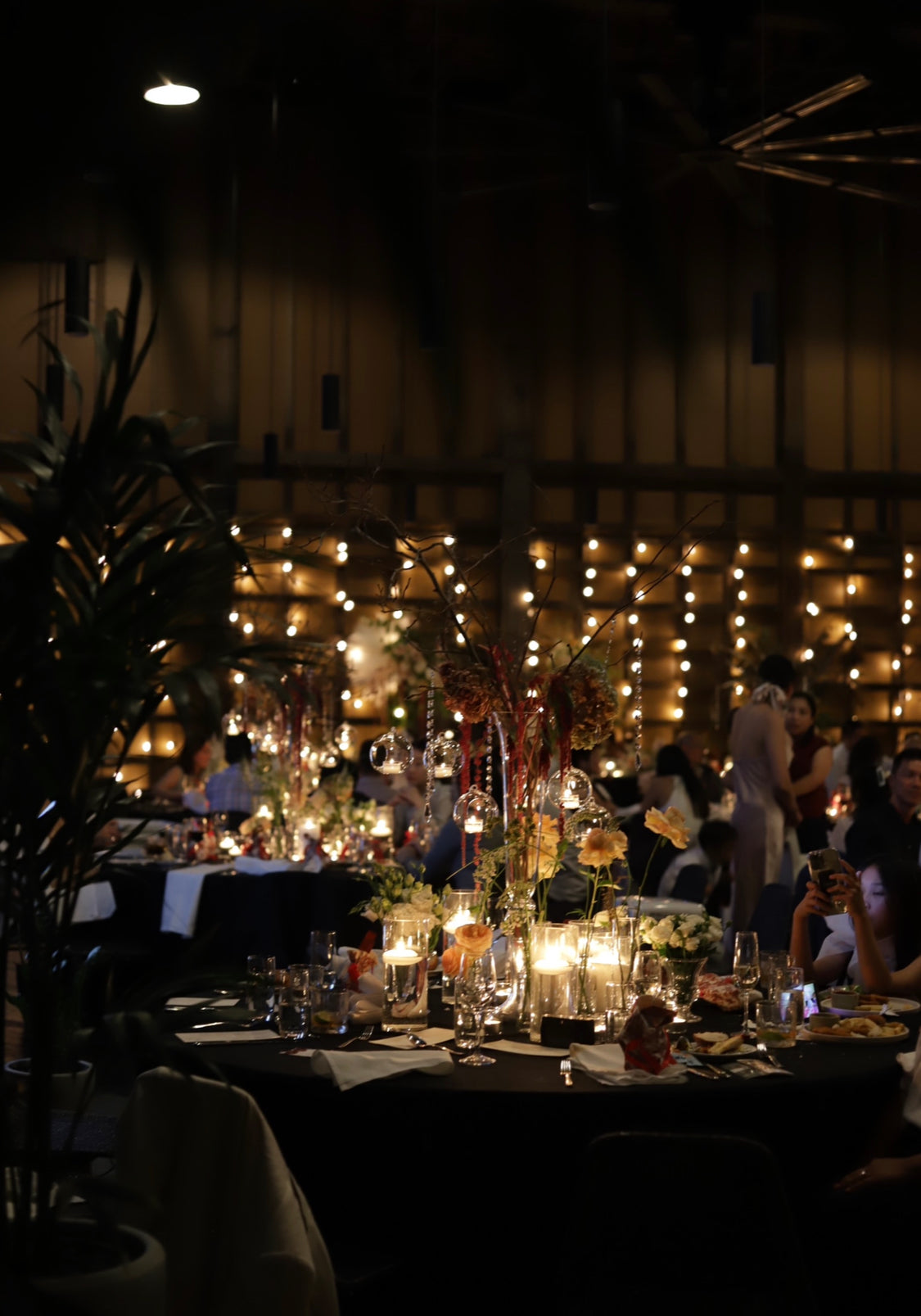 Palm wax in Glass Cylinder