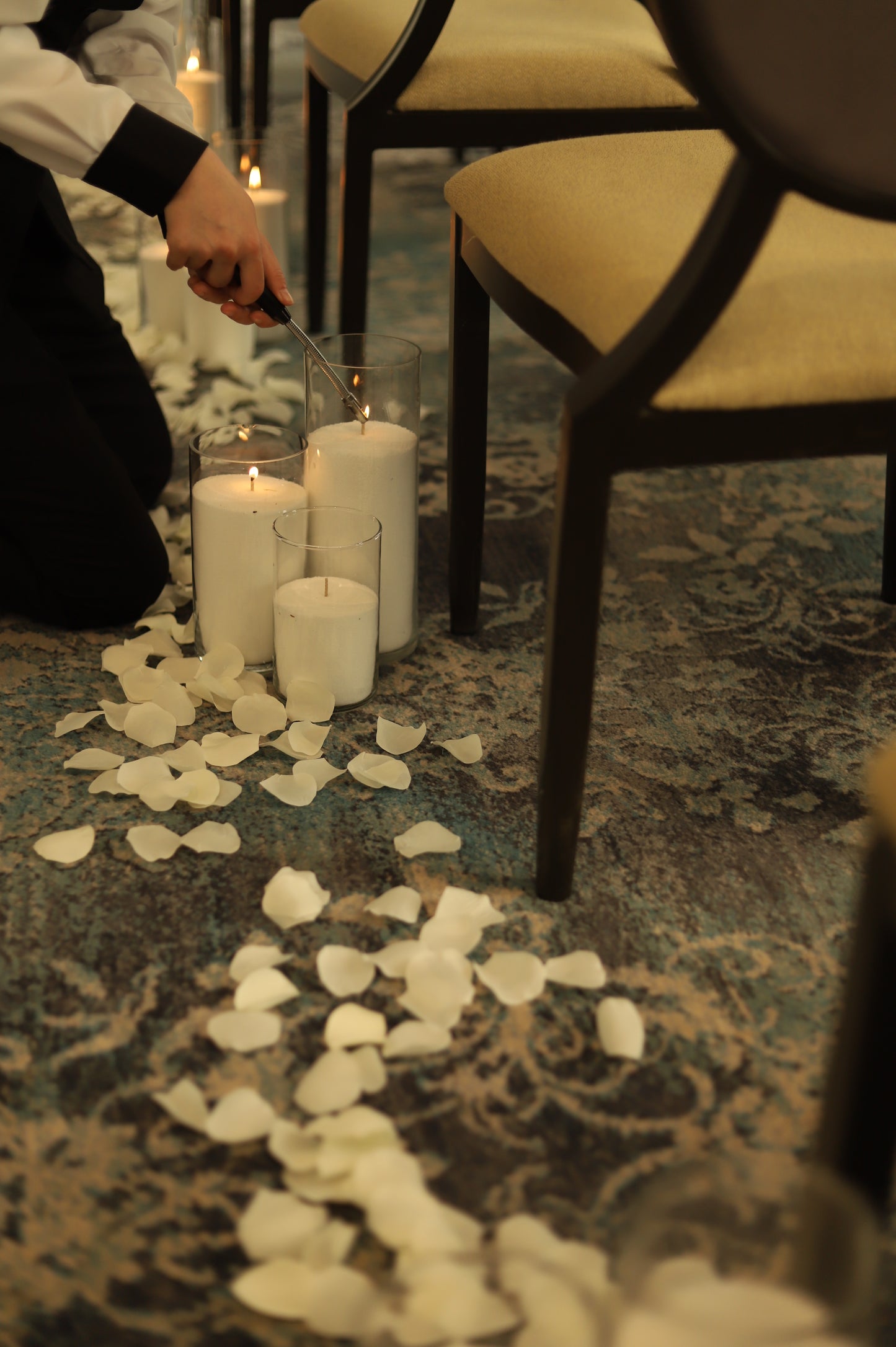 Palm wax in Glass Cylinder