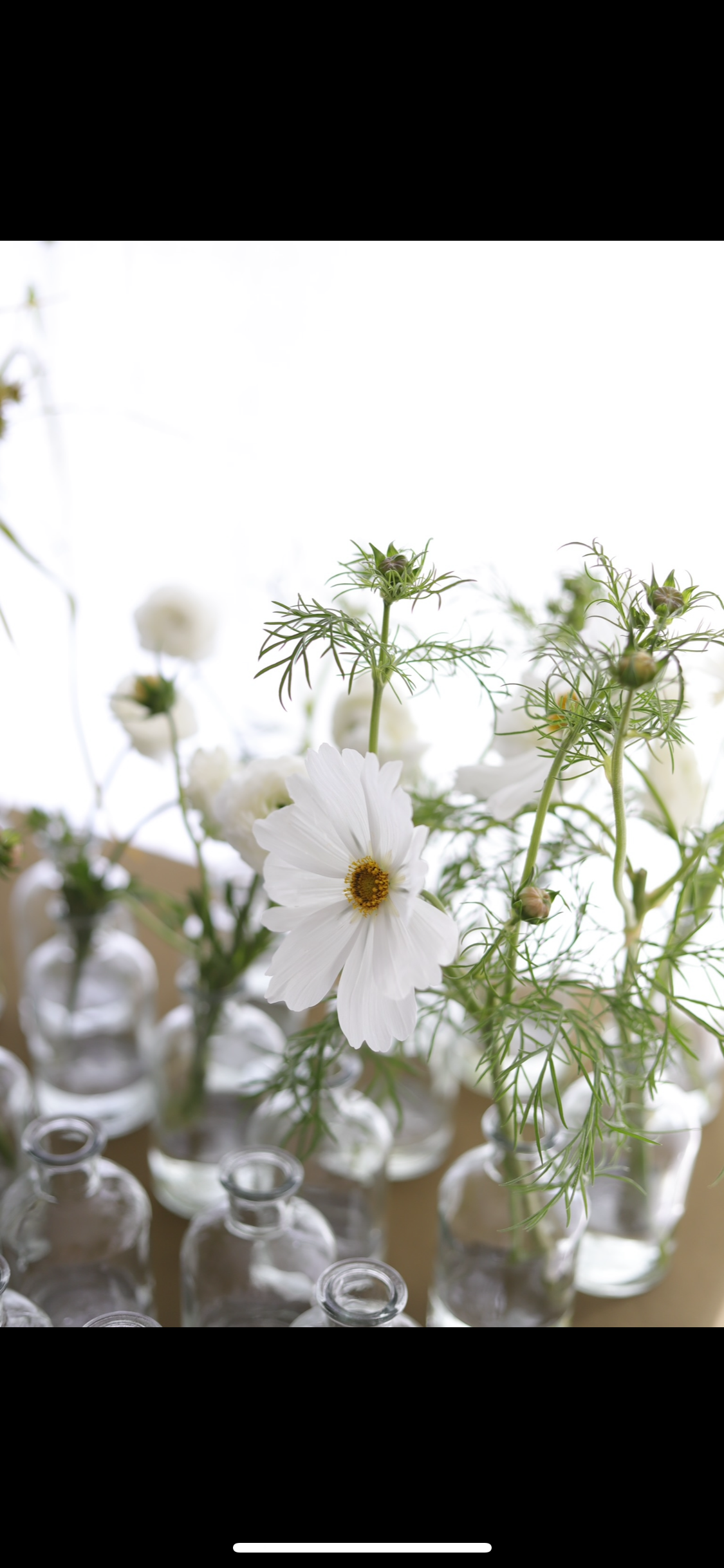 Bud Vases